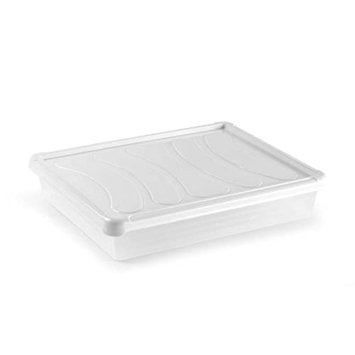 Acan Tradineur - Bandeja frigorífica de almacenamiento con tapa – Fabricación en plástico resistente – Capacidad de 4 L – 6,5 x 35 x 27 cm – Color Blanco.