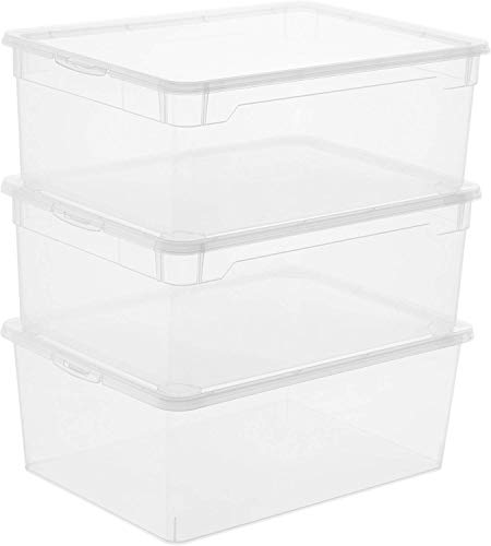Rotho Clear Juego de 3 cajas de almacenamiento de 10l con tapa, Plástico (PP) sin BPA, transparente, 3 x 10l (36.0 x 26.0 x 14.0 cm)