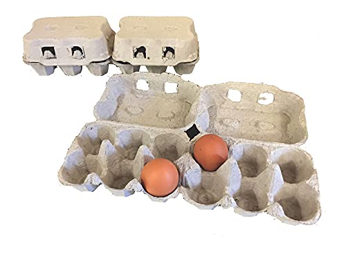 Generico 50 recipientes para huevos de cartón blanco