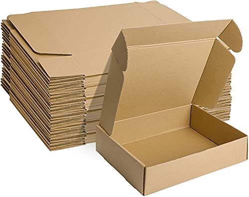 HORLIMER 30,5 x 22,9 x 7,6cm Cajas de Carton con Tapa para Envios de Paquete, 20 Pack, Cajitas de Papel Kraft para Regalo o Embalaje, Marrón
