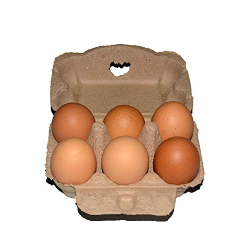 Cartones de huevo de gallina – Biodegradable caja de huevos gris 6 celdas, cajas de huevos vacías de granja