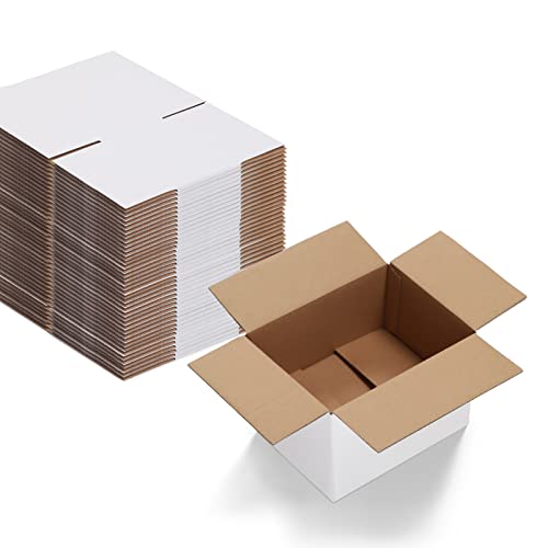 EYMPEU 20,3X15,3X10,2cm Cajas de Carton con Tapa para Envios de Paquete, 40 Pack, Cajitas de Papel Kraft para Regalo o Embalaje, Blanco