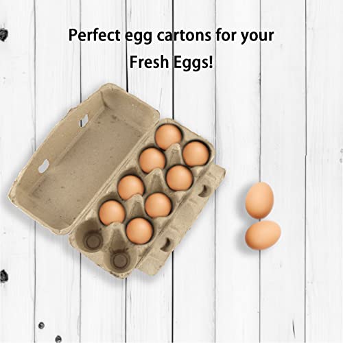 Caja de Huevos Cajas de Huevos 10 Piezas Hueveras de Carton Cajas para Huevos para Huevos o Huevos de Pato