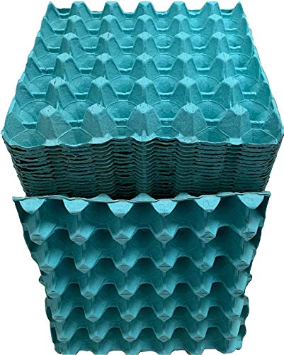 Anglia Farm Supplies - Bandeja para huevos con capacidad para 30 huevos - Cajas de cartón - Varios tamaños (20 bandejas para huevos)